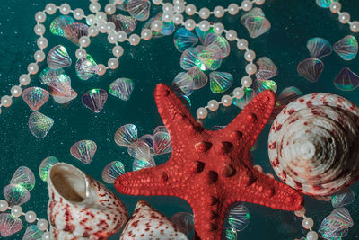 Close-up of fish swimming in sea