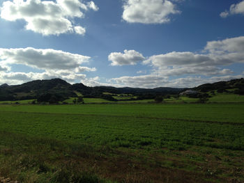 Scenic view of field against sky