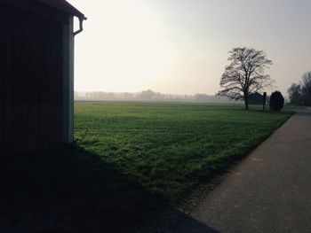 Scenic view of grassy field against sky