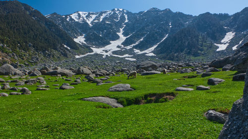 Scenic view of landscape and mountains against sky