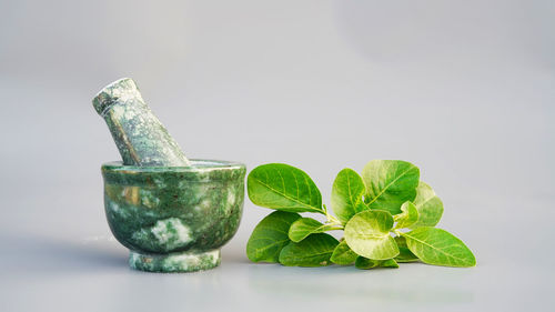 Close-up of mortar and pestle against white background