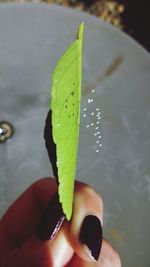 Cropped image of hand holding water