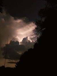 Low angle view of silhouette trees against sky