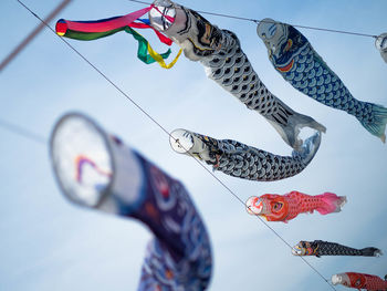 Low angle view of fish hanging against sky