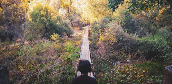 Rear view of man standing by trees in forest