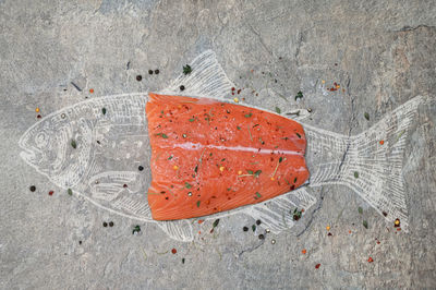 Close up of raw salmon fish fillet and drawn the fish