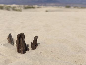 Close-up of sand on beach