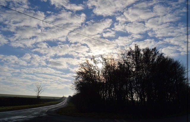 transportation, road, the way forward, sky, tree, country road, diminishing perspective, bare tree, cloud - sky, tranquility, landscape, vanishing point, tranquil scene, road marking, street, empty road, nature, cloud, silhouette, scenics