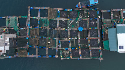 Fish farm cultivation at sea. aerial view. seafood industry in vietnam.