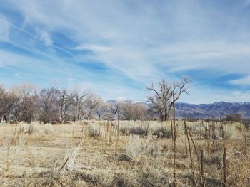 Scenic view of land against sky