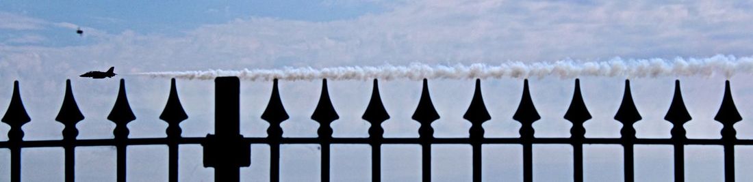 Seagull perching on railing against sea