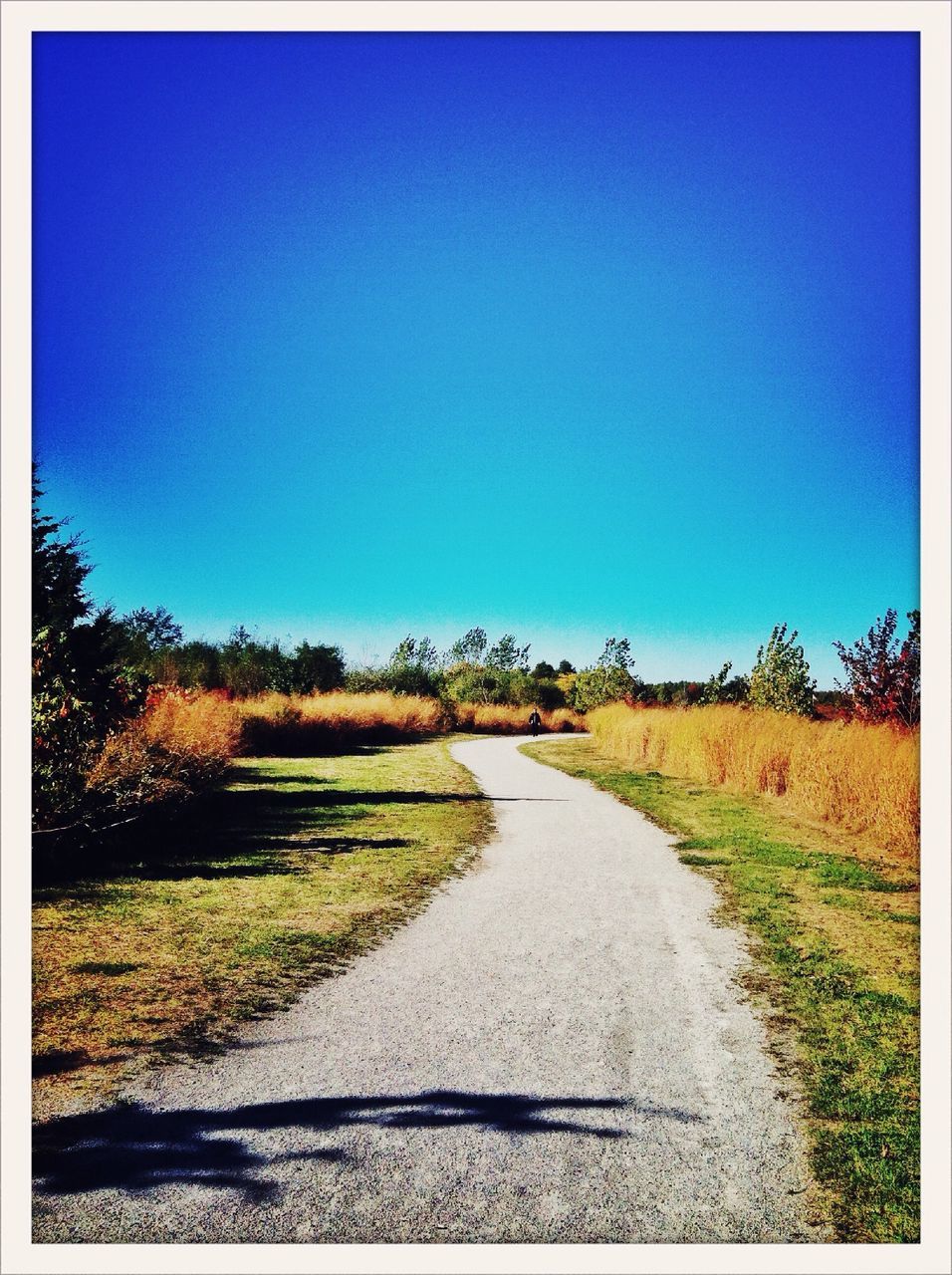 clear sky, blue, the way forward, copy space, transfer print, road, field, landscape, diminishing perspective, grass, tranquility, auto post production filter, tranquil scene, transportation, dirt road, country road, tree, nature, vanishing point, plant