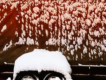 Close-up of snow covered car