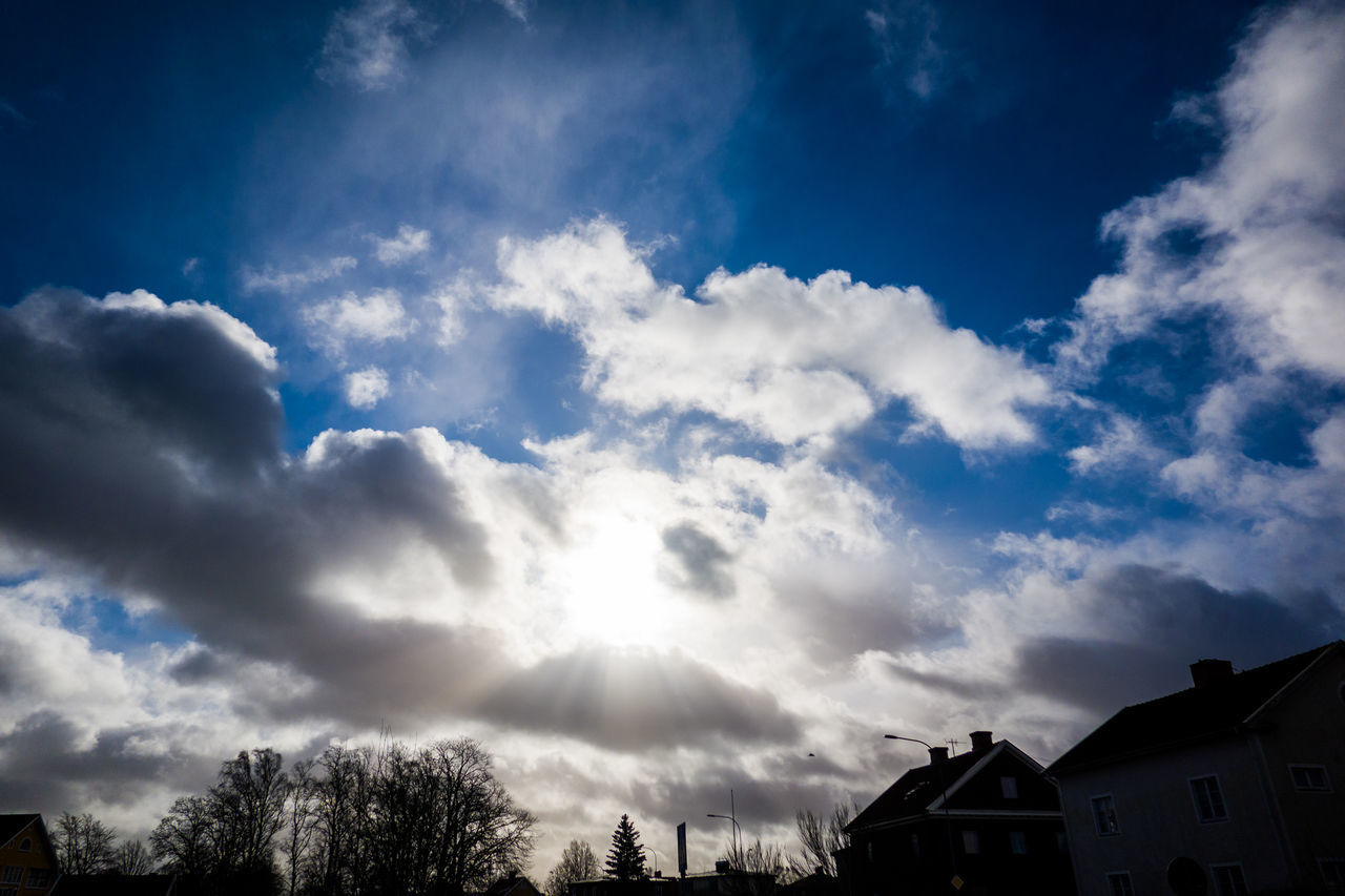 LOW ANGLE VIEW OF SILHOUETTE TREE AND BUILDINGS AGAINST SKY