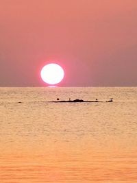 Scenic view of sea at sunset