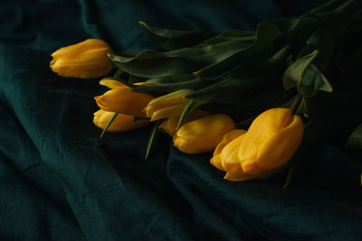 High angle view of yellow rose on bed