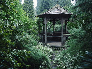 Gazebo with trees in background