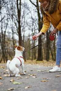 Woman with dog walk in autumn park