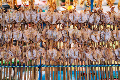 View of dried squidfor sale in market