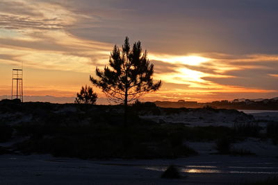 Silhouette trees against sky during sunset