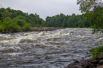 Scenic view of river flowing in forest against sky