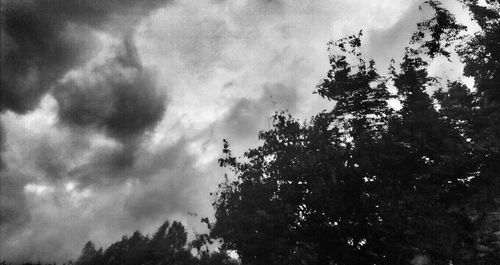 Low angle view of trees against cloudy sky