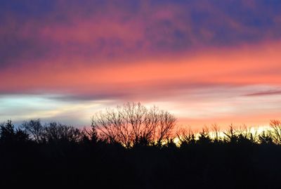 Silhouette trees against dramatic sky during sunset