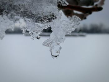 Close-up of water in lake