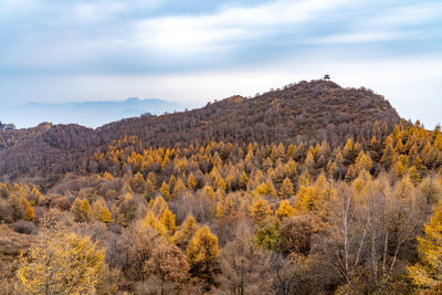 Scenic view of land against sky during autumn