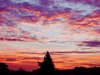 Silhouette trees against dramatic sky during sunset