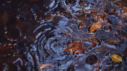 Full frame shot of rippled water