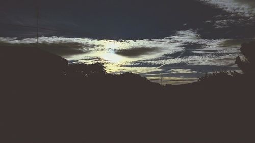 View of tree against sky