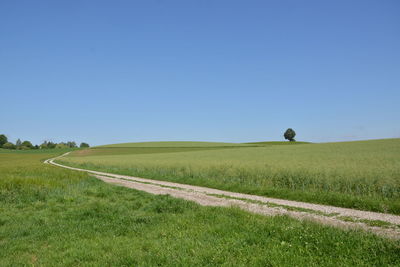 Scenic view of field against clear sky