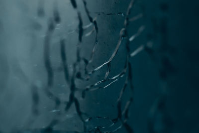 Close-up of broken glass