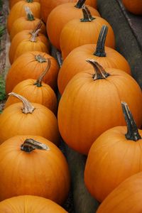 High angle view of pumpkins for sale at market