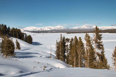 Scenic winter landscape in yellowstone national park