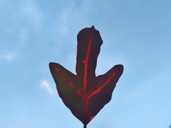 Low angle view of red leaf against sky