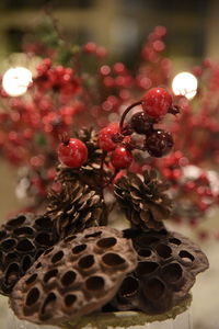 Close-up of berries on tree