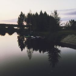 Reflection of trees in calm lake