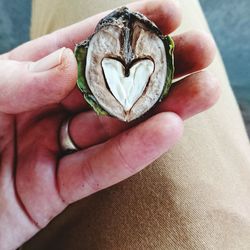 Close-up of person holding nut with heart shape