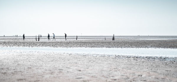 Scenic view of people on beach against clear sky