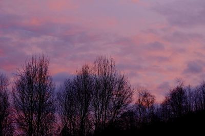 Low angle view of bare trees against sky at sunset