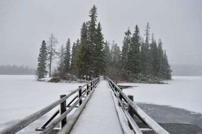 Snow covered walkway by trees against sky