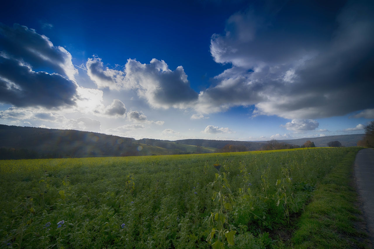 SCENIC VIEW OF LAND AGAINST SKY