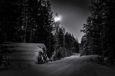 Empty road at night