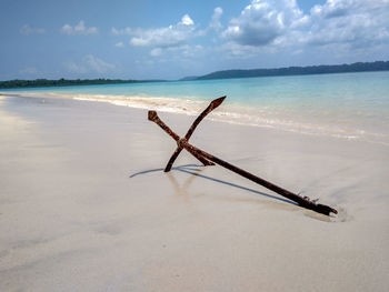 Scenic view of beach