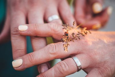 Wedding rings on hands with ladybug at sunset with bride and groom