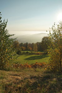 Scenic view of field against sky