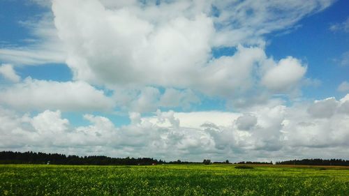 Scenic view of field against cloudy sky