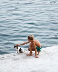 View of dog on sea shore